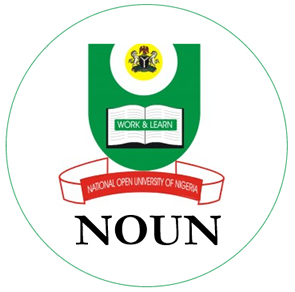 noun-the-nigerian-diplomat